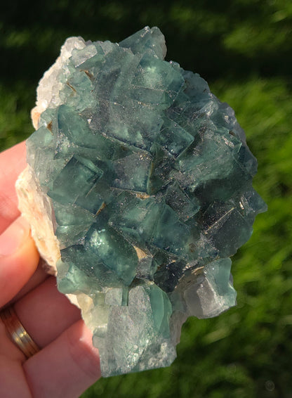 green cubic fluorite specimen being held in a hand with a grass background