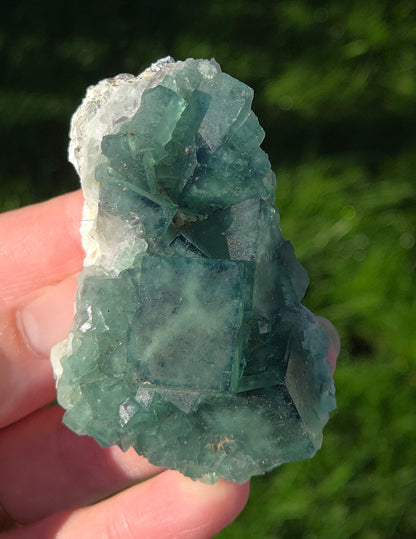 green cubic fluorite specimen being held in a hand with a grass background