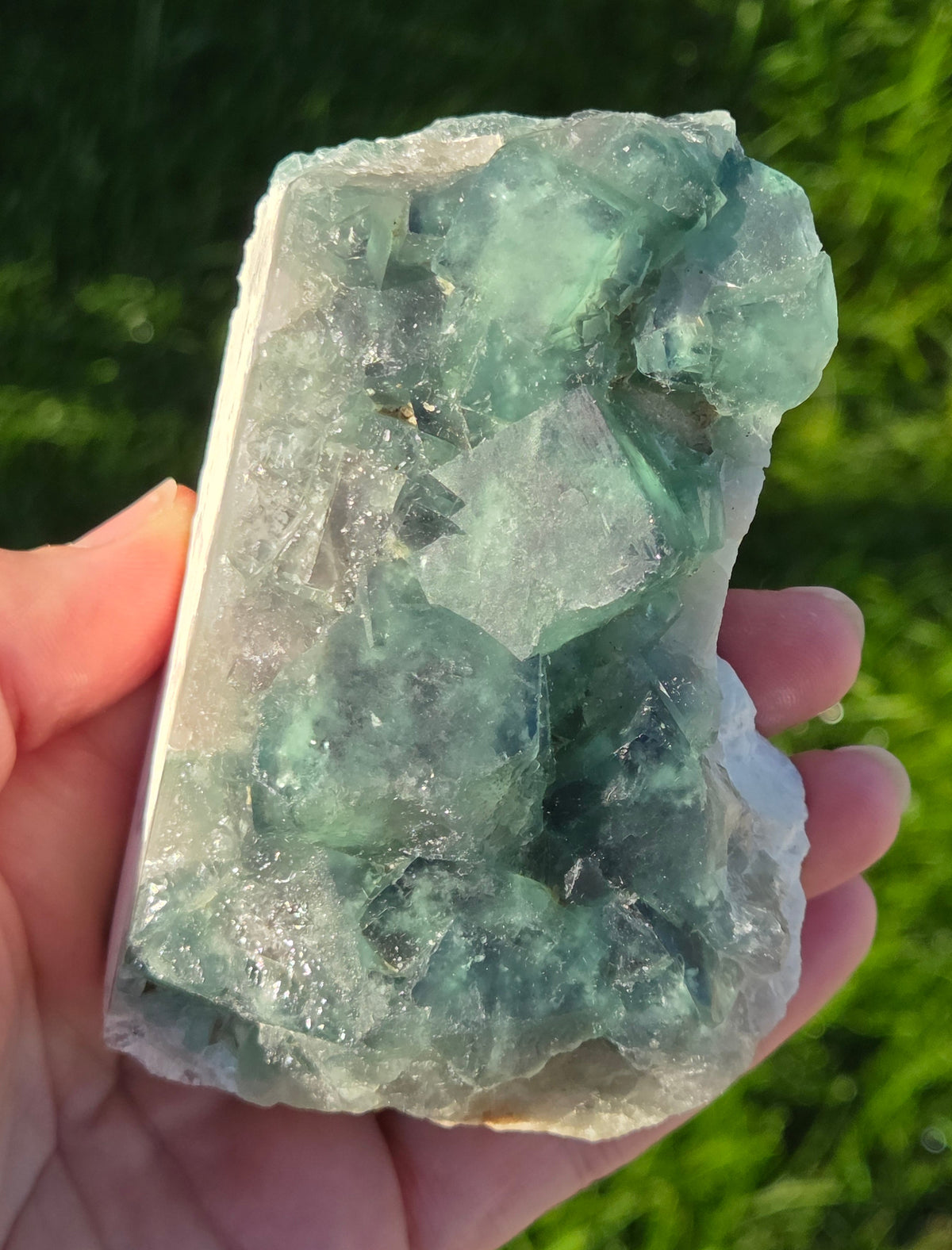 green cubic fluorite specimen being held in a hand with a grass background