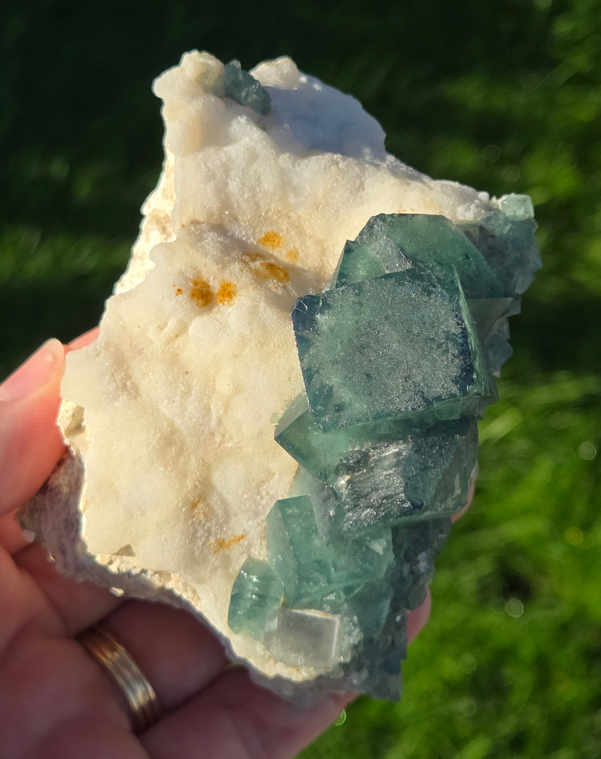 green cubic fluorite specimen being held in a hand with a grass background