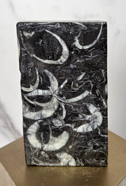 Carving of a faceless woman wearing a robe, sitting on a chair, in marbled black and white, on a wooden stand against a marble background