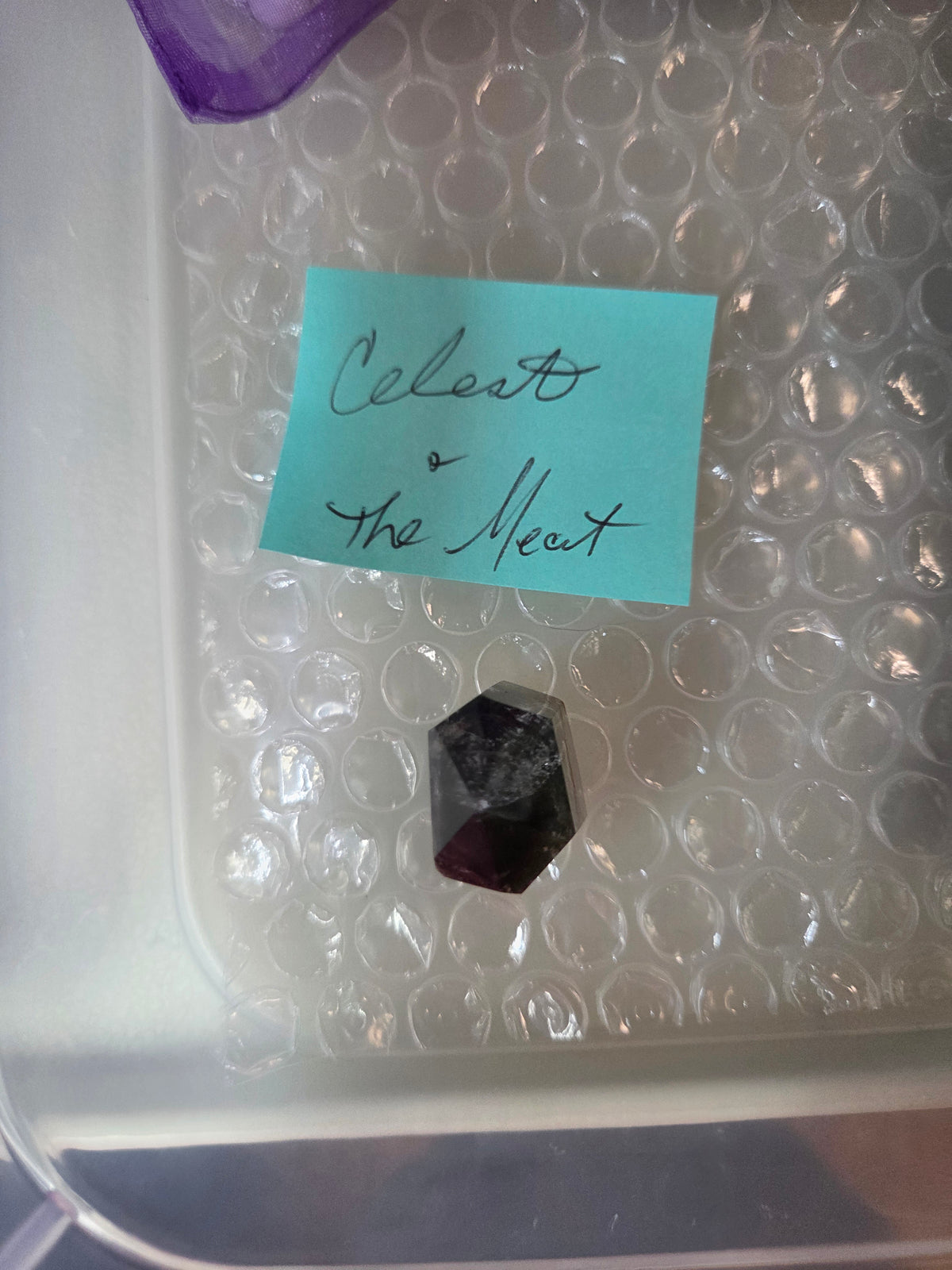 @Celestwolf/The Meat invoice