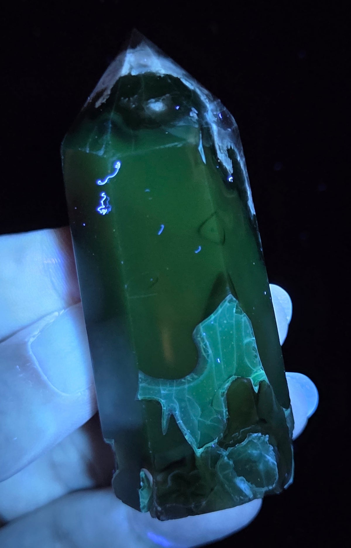 Volcano Agate polished point being held in a hand showing green  color under UV lighting against a  black background
