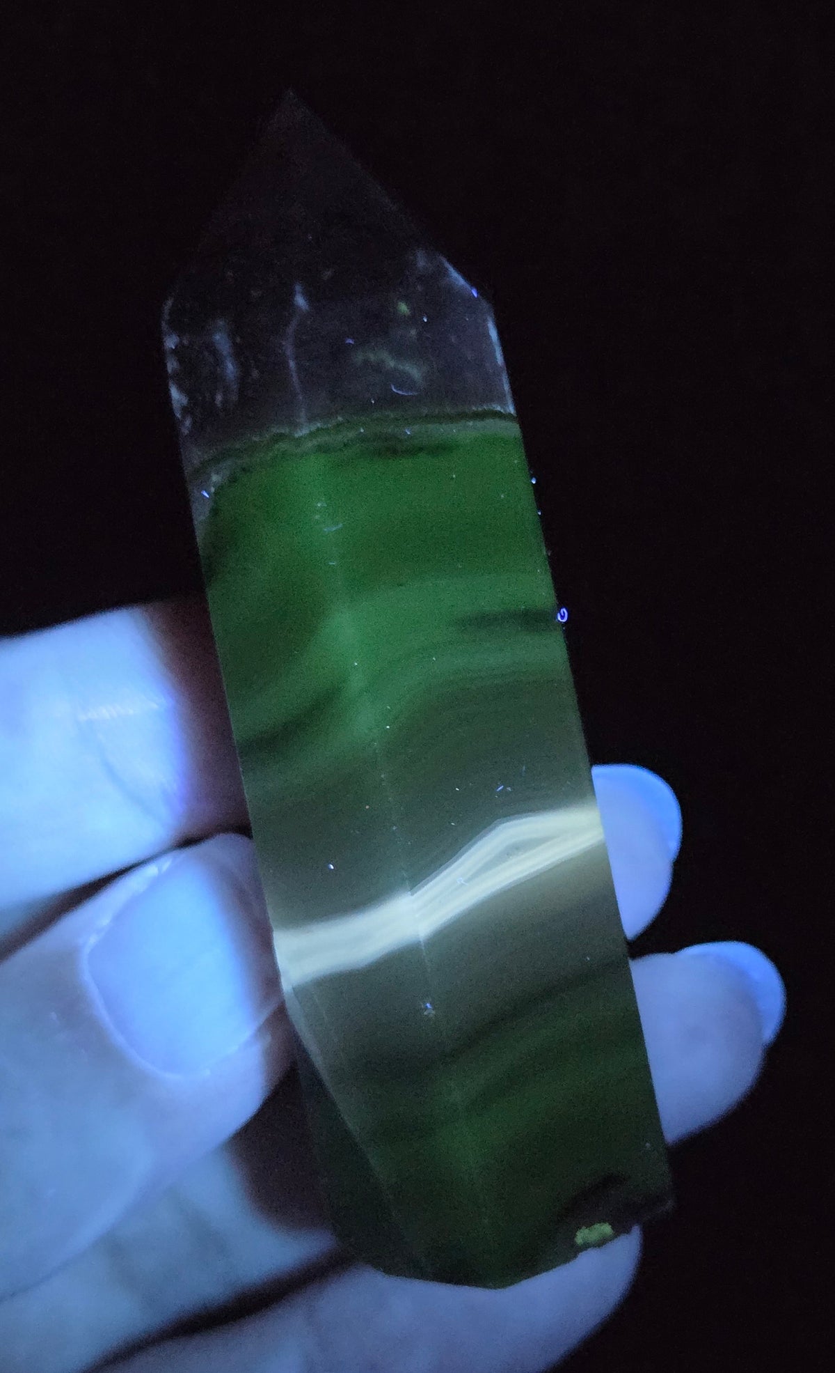 Volcano Agate polished point being held in a hand showing green  color under UV lighting against a  black background