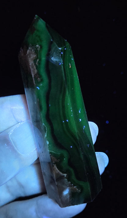 Volcano Agate polished point being held in a hand showing green  color under UV lighting against a  black background