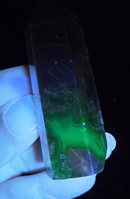 Volcano Agate polished point being held in a hand showing green  color under UV lighting against a  black background