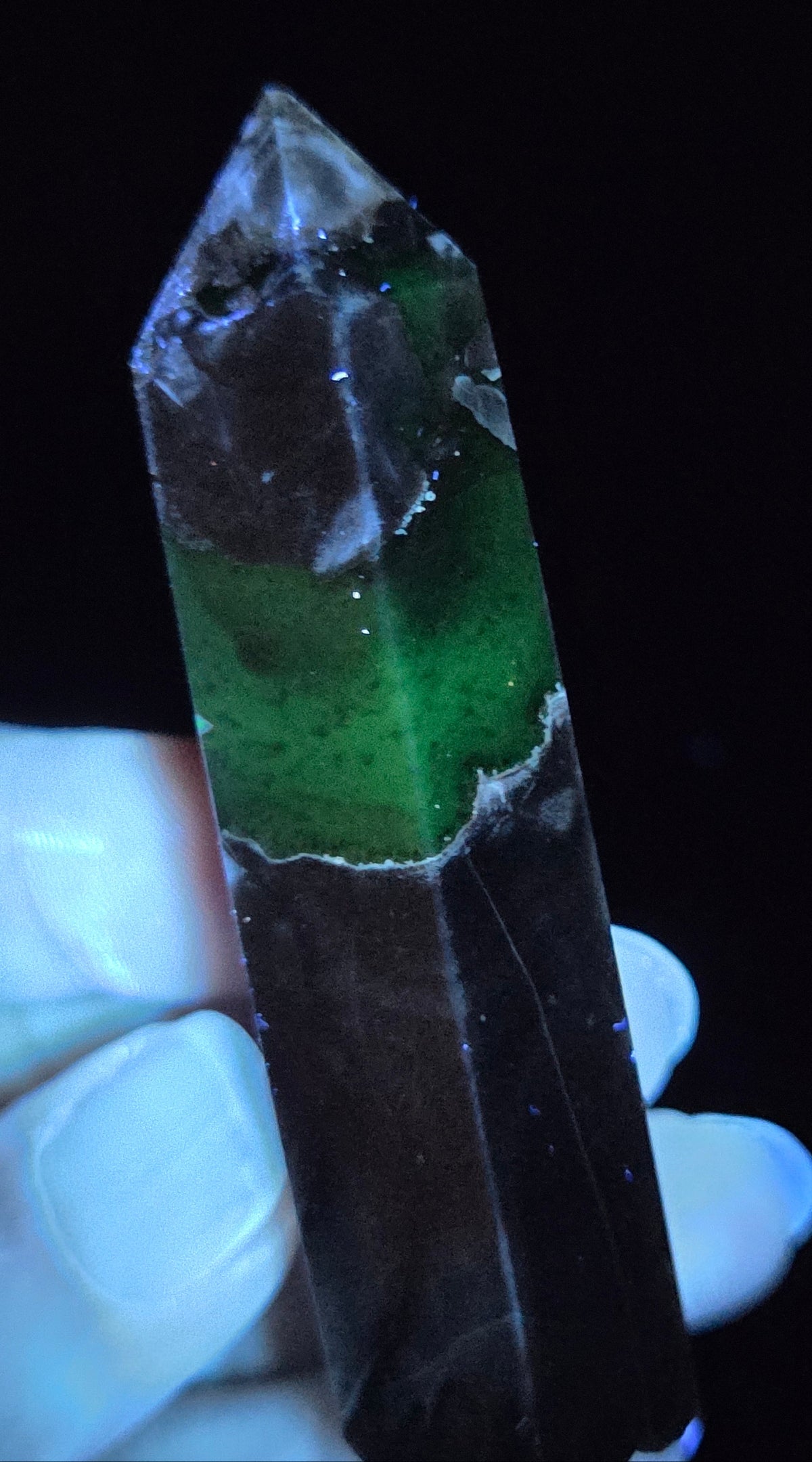 Volcano Agate polished point being held in a hand showing green  color under UV lighting against a  black background