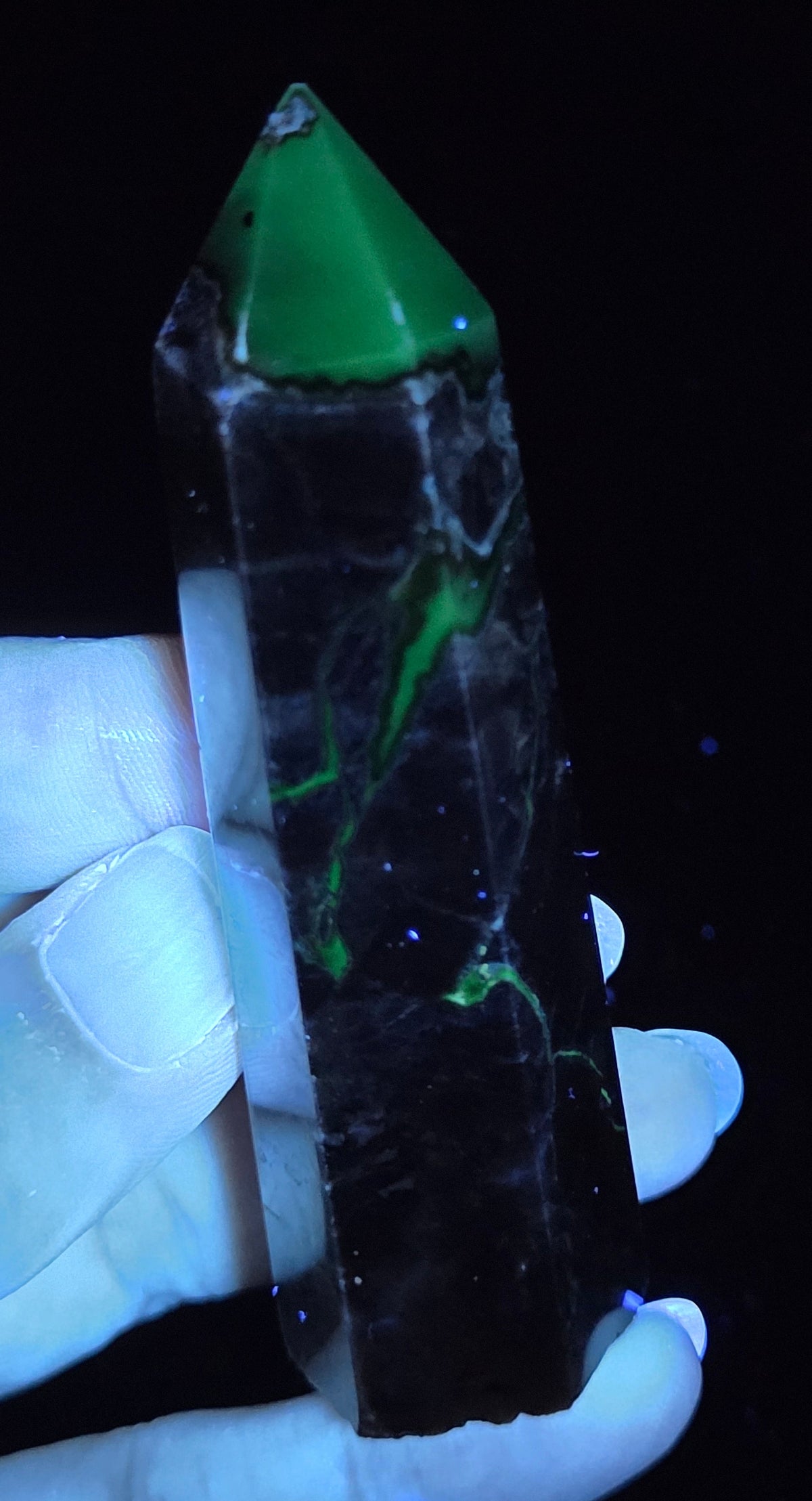 Volcano Agate polished point being held in a hand showing green  color under UV lighting against a  black background