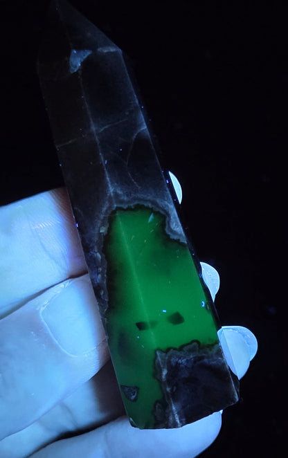 Volcano Agate polished point being held in a hand showing green  color under UV lighting against a  black background