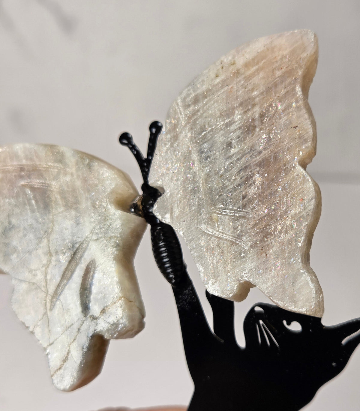 A hand holding a decorative butterfly-shaped object with iridescent pale wings and a black cat-shaped base against a light indoor background.