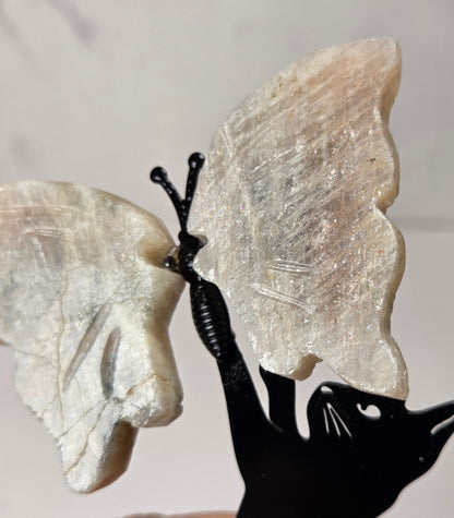 A hand holding a decorative butterfly-shaped object with iridescent pale wings and a black cat-shaped base against a light indoor background.