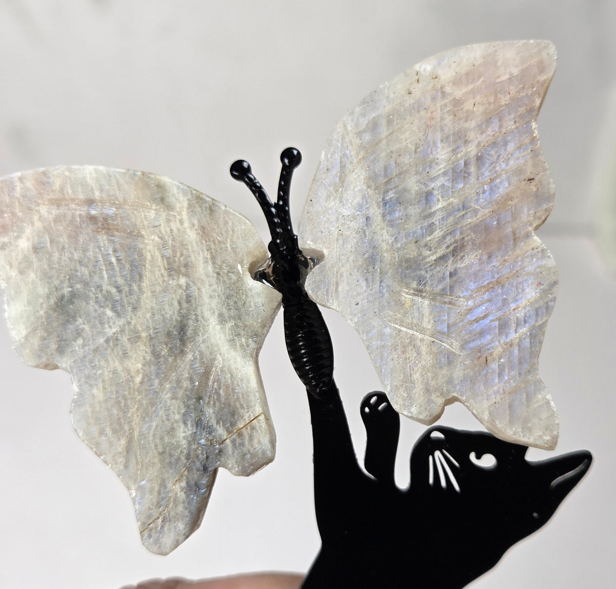 A hand holding a decorative butterfly-shaped object featuring iridescent white wings and a black cat silhouette body, against a light marble-like background.