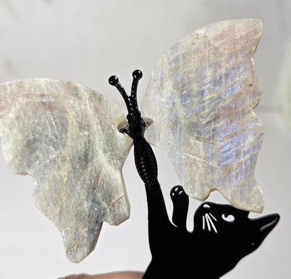 A hand holding a decorative butterfly-shaped object featuring iridescent white wings and a black cat silhouette body, against a light marble-like background.