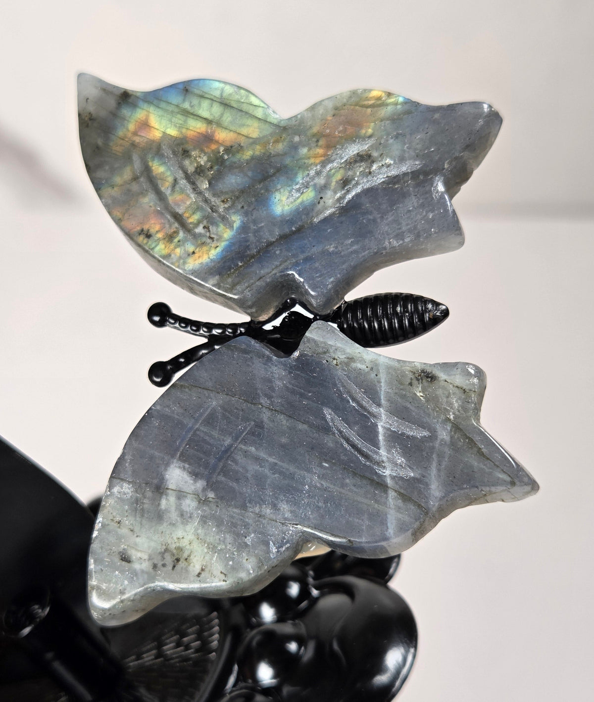 A close-up of a butterfly-shaped crystal pendant with iridescent gray-blue wings and a black body, held against a light background.