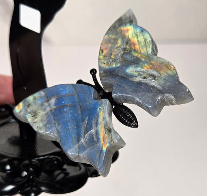 A carved labradorite butterfly ornament with shimmering blue, green, and gold iridescent wings, mounted on a black display stand.