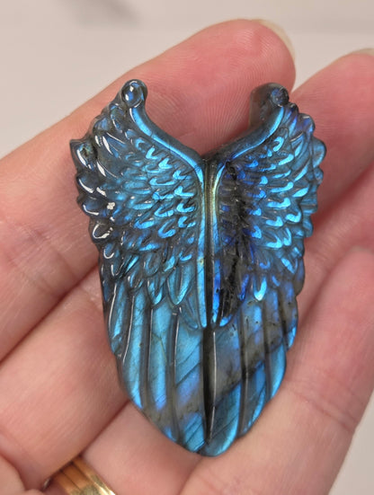 blue flash labradorite angel wings being held in a hand against a white background