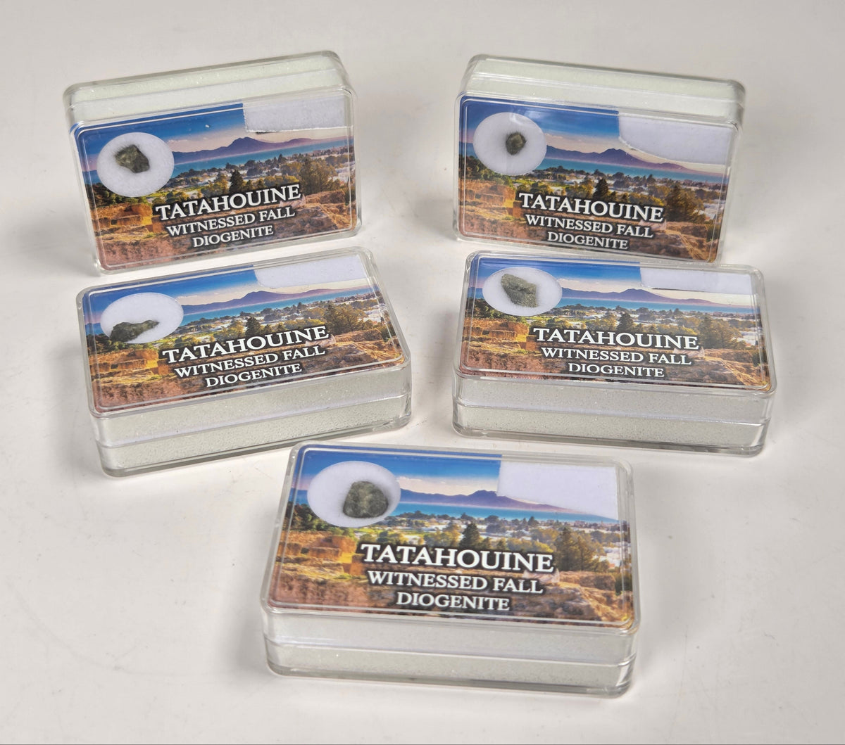 clear boxes with meteorite specimens against a white background
