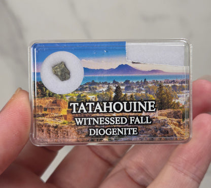hand holding a clear box with a meteorite specimen against a white background