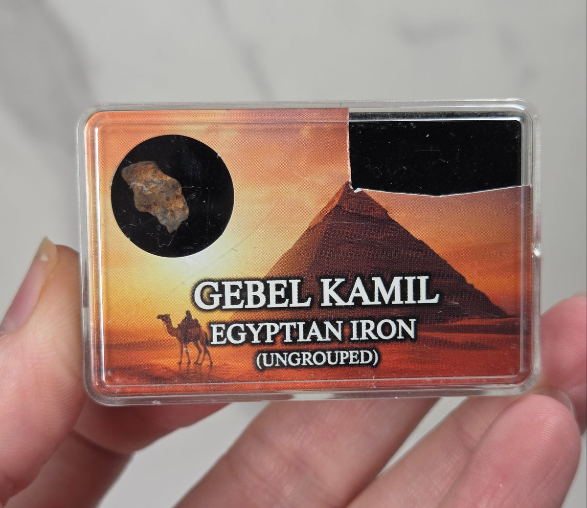 hand holding a clear box with a meteorite specimen against a white background