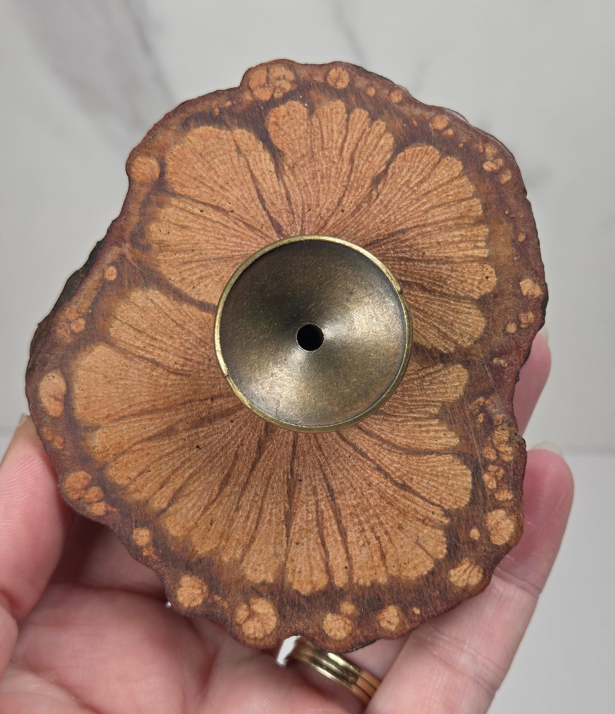 Hand holding a wood slab with bronze sphere holder against a white background
