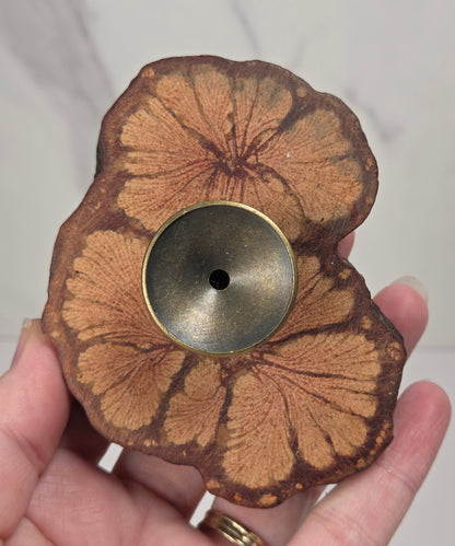 Hand holding a wood slab with bronze sphere holder against a white background
