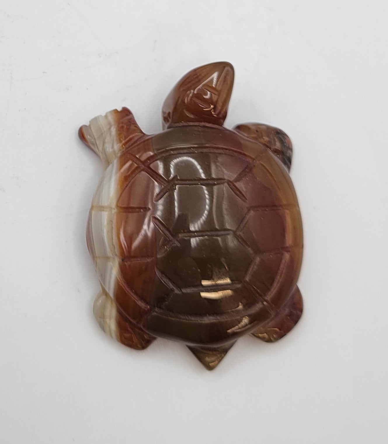 Turtle carvings