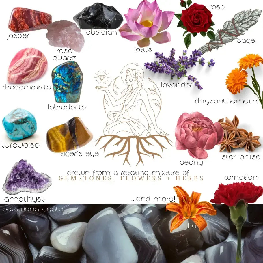 A collage-style graphic featuring many labeled natural objects and flowers: jasper, obsidian, rose quartz, rhodochrosite, labradorite, turquoise, tiger's eye, amethyst, lotus, lavender, chrysanthemum, carnation, peony, star anise, sage, rose, and a row of polished stones and flowers along the bottom. A central line drawing shows a seated figure with roots extending downward.