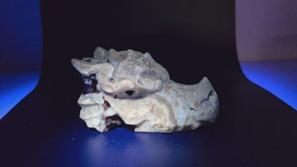 Dragon head - Amber Calcite (L)