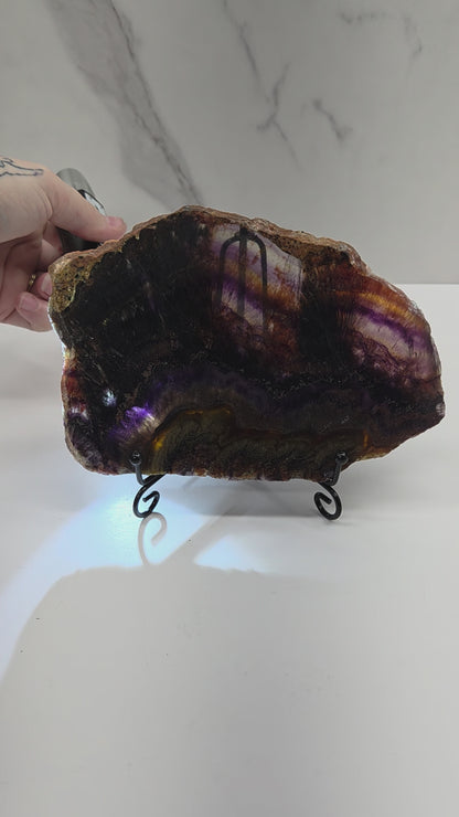 Banded crystal slice with multiple colors and inclusions on a stand against a marble background, being backlit