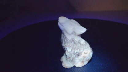 Wolf (M) - Amber Calcite