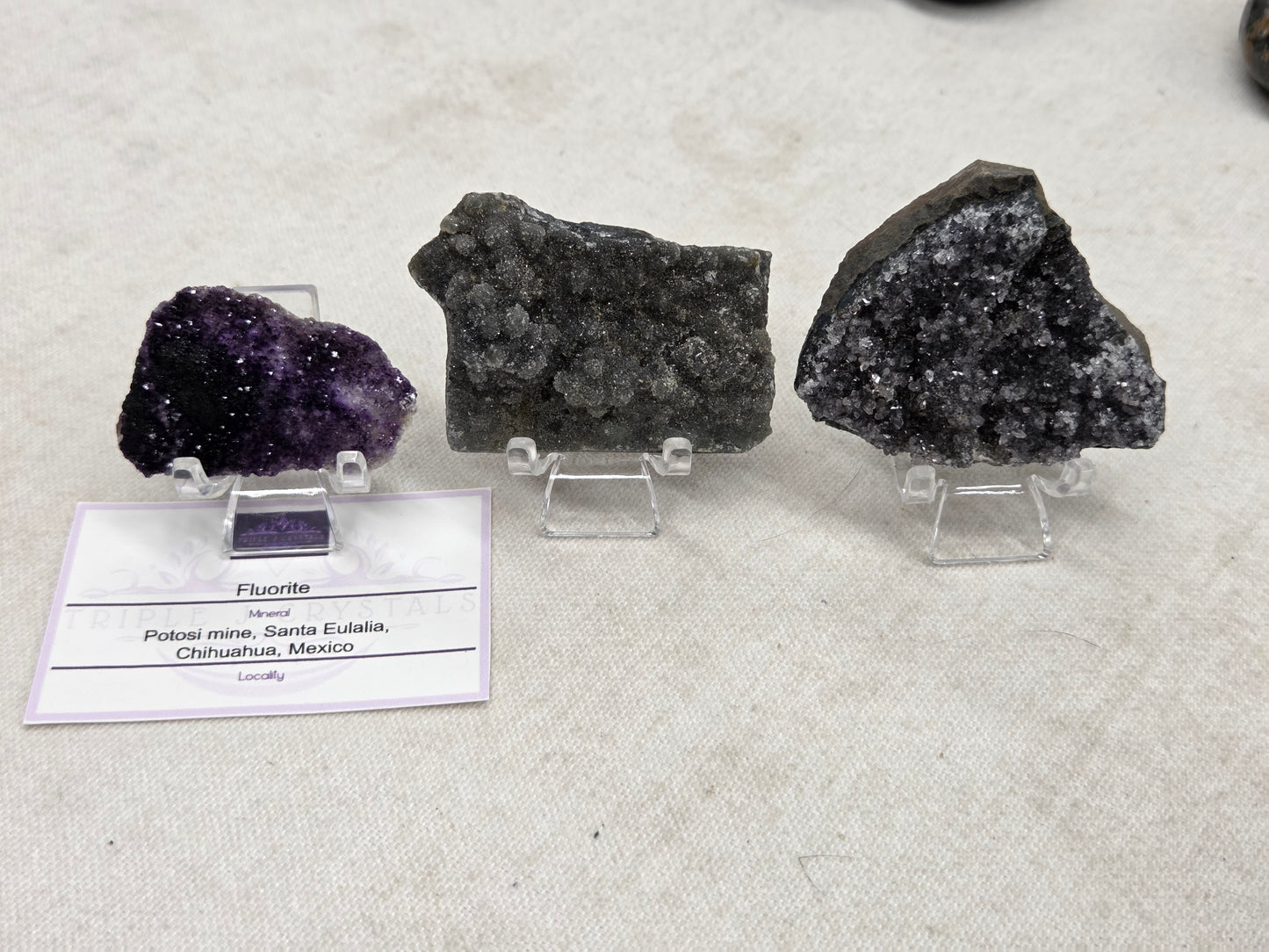 @Tylin Pigeon invoice