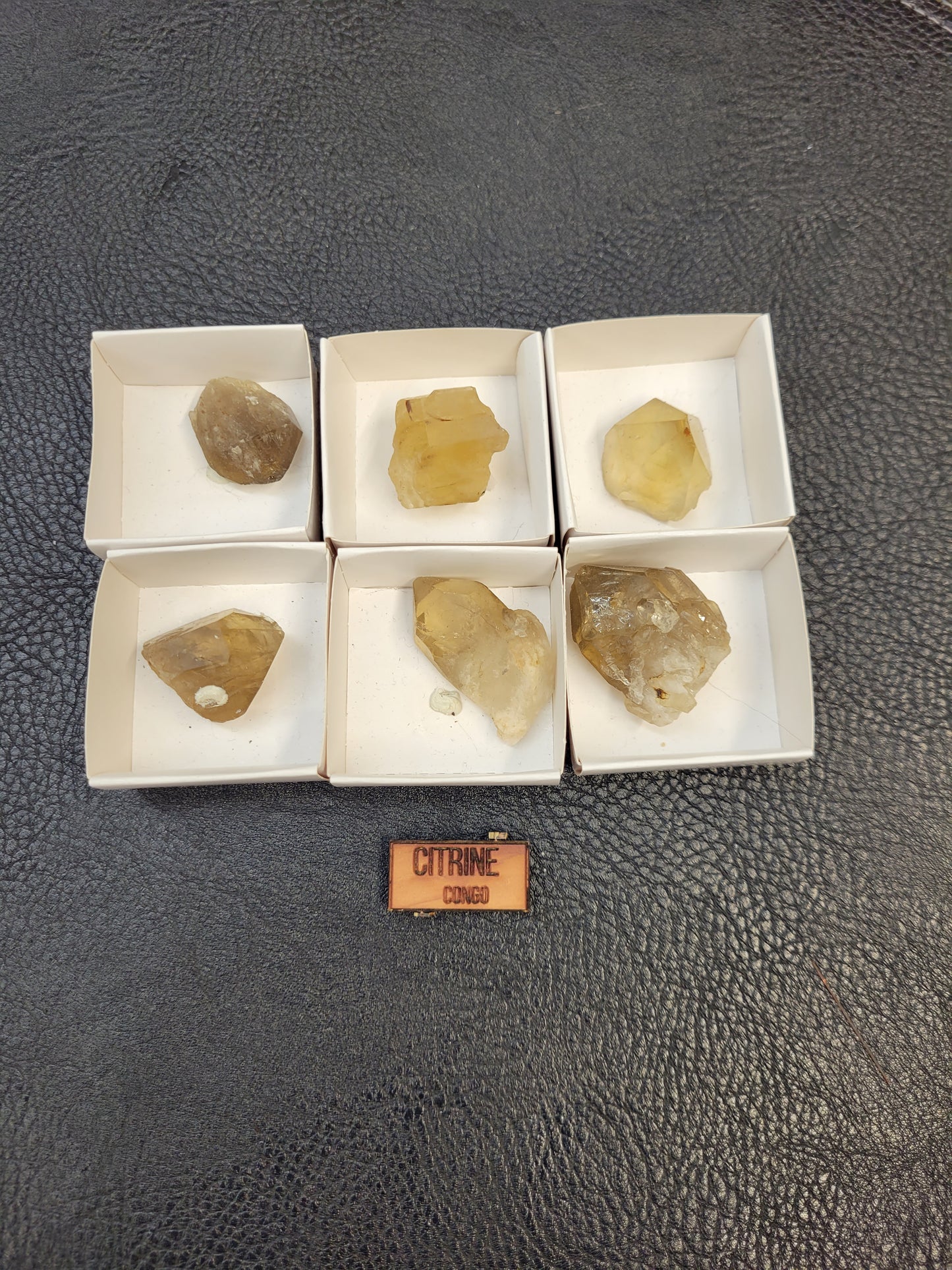 Various specimen thumbnails